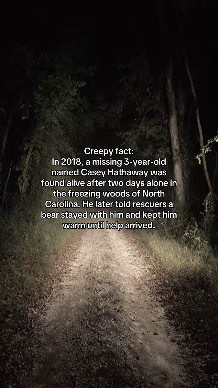 Let's Peek at 54 Creepy Facts That'll Totally Spook You Out