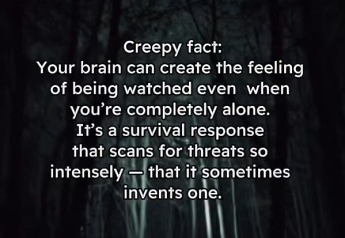 Let's Peek at 54 Creepy Facts That'll Totally Spook You Out