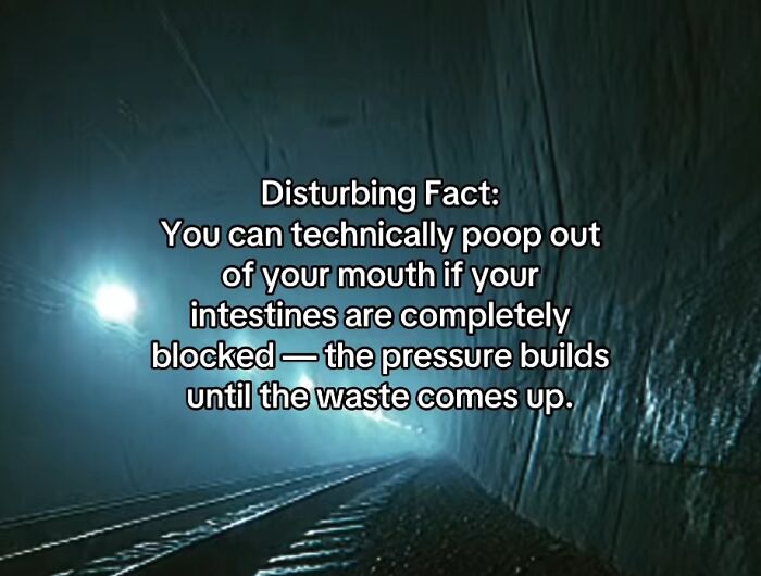 Let's Peek at 54 Creepy Facts That'll Totally Spook You Out