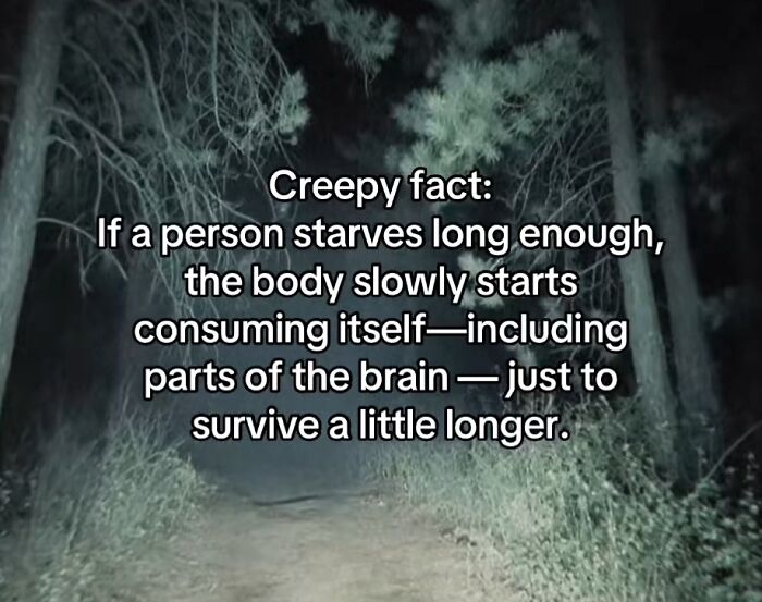 Let's Peek at 54 Creepy Facts That'll Totally Spook You Out