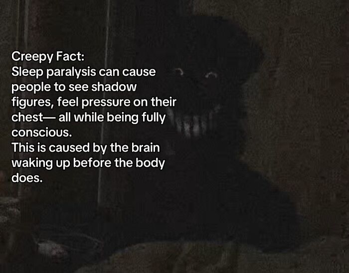 Let's Peek at 54 Creepy Facts That'll Totally Spook You Out