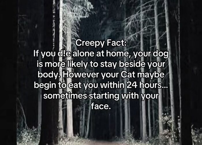 Let's Peek at 54 Creepy Facts That'll Totally Spook You Out