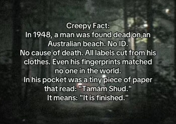 Let's Peek at 54 Creepy Facts That'll Totally Spook You Out