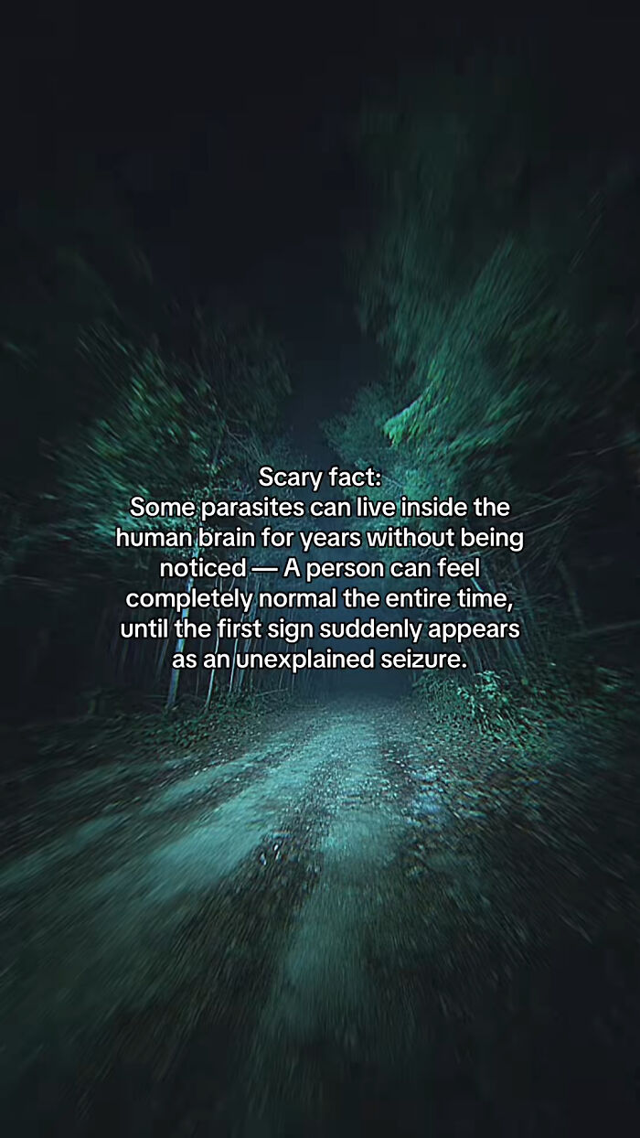 Let's Peek at 54 Creepy Facts That'll Totally Spook You Out