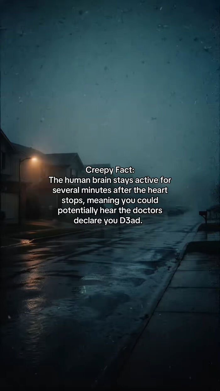 Let's Peek at 54 Creepy Facts That'll Totally Spook You Out