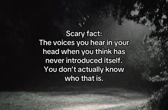 Let's Peek at 54 Creepy Facts That'll Totally Spook You Out