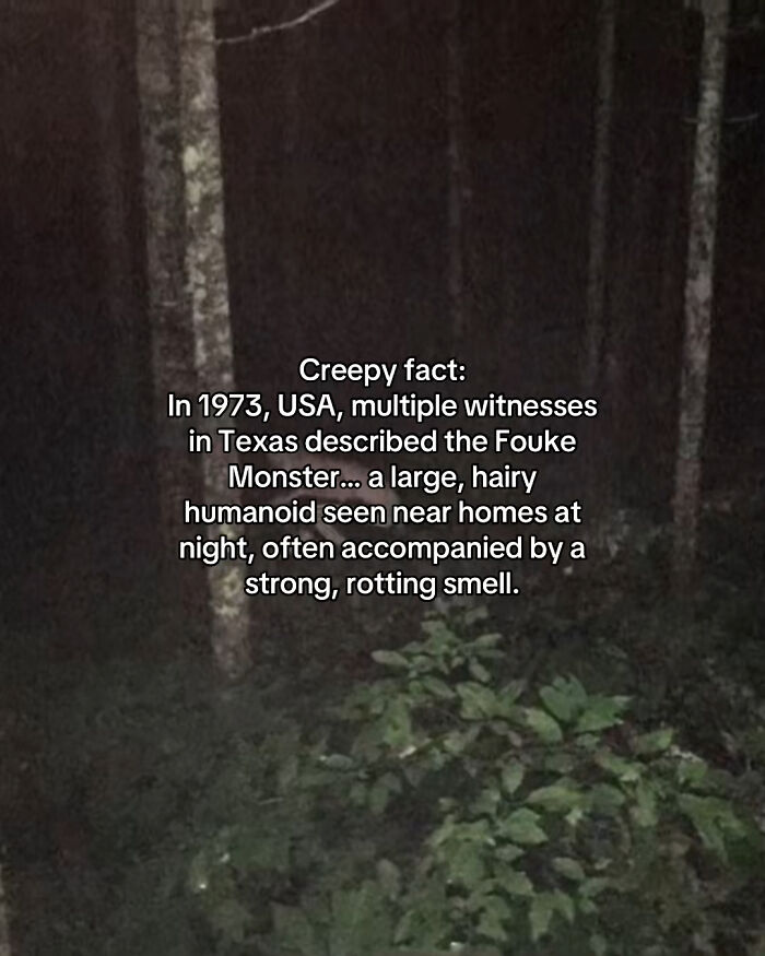 Let's Peek at 54 Creepy Facts That'll Totally Spook You Out