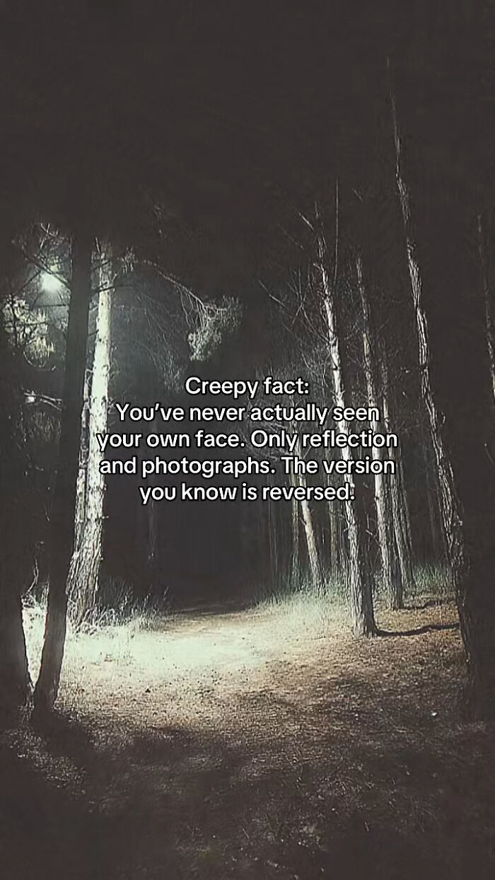 Let's Peek at 54 Creepy Facts That'll Totally Spook You Out