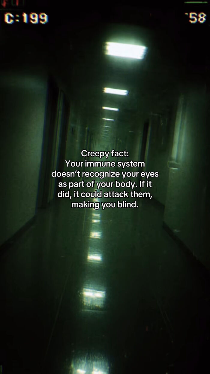 Let's Peek at 54 Creepy Facts That'll Totally Spook You Out