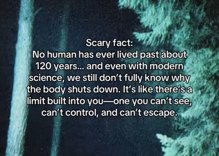 Let's Peek at 54 Creepy Facts That'll Totally Spook You Out