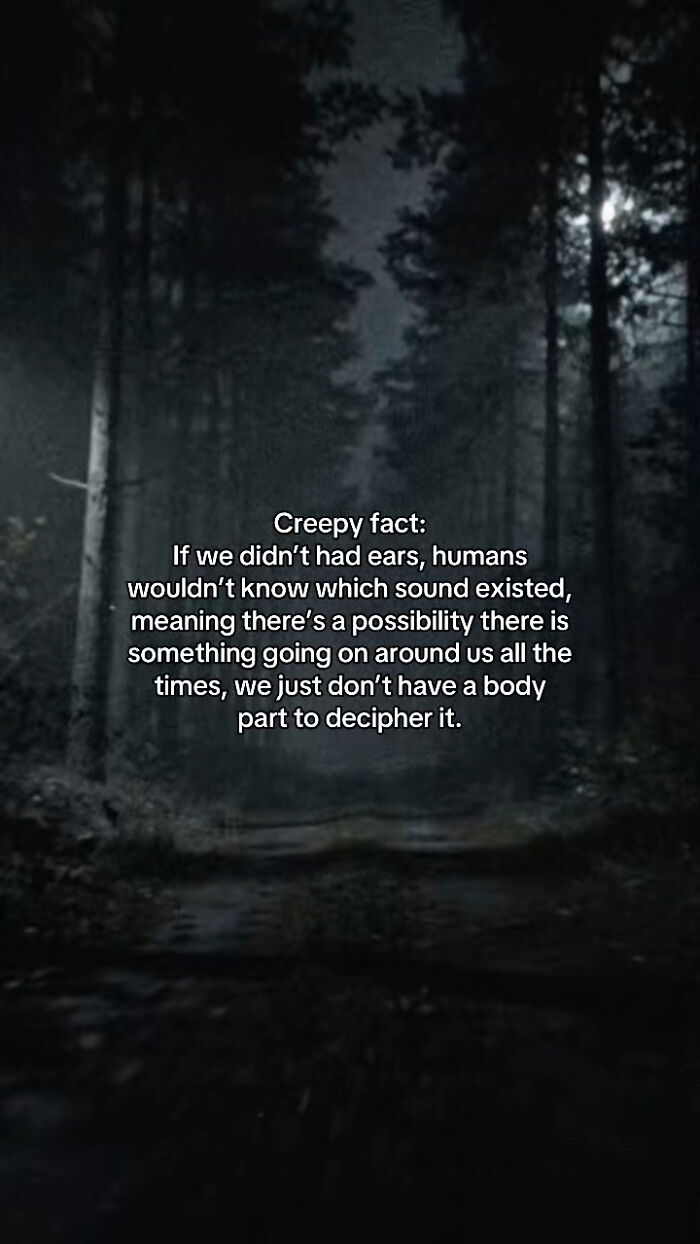 Let's Peek at 54 Creepy Facts That'll Totally Spook You Out