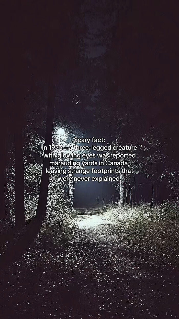 Let's Peek at 54 Creepy Facts That'll Totally Spook You Out