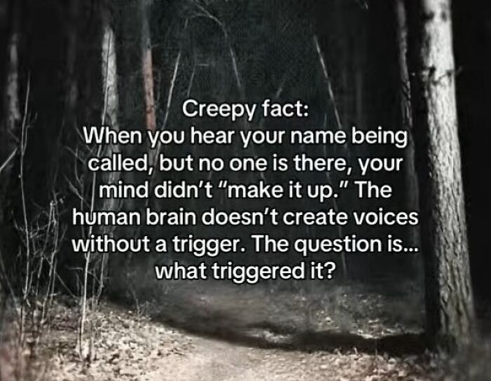 Let's Peek at 54 Creepy Facts That'll Totally Spook You Out