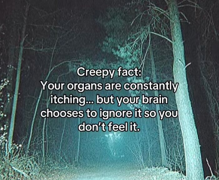 Let's Peek at 54 Creepy Facts That'll Totally Spook You Out