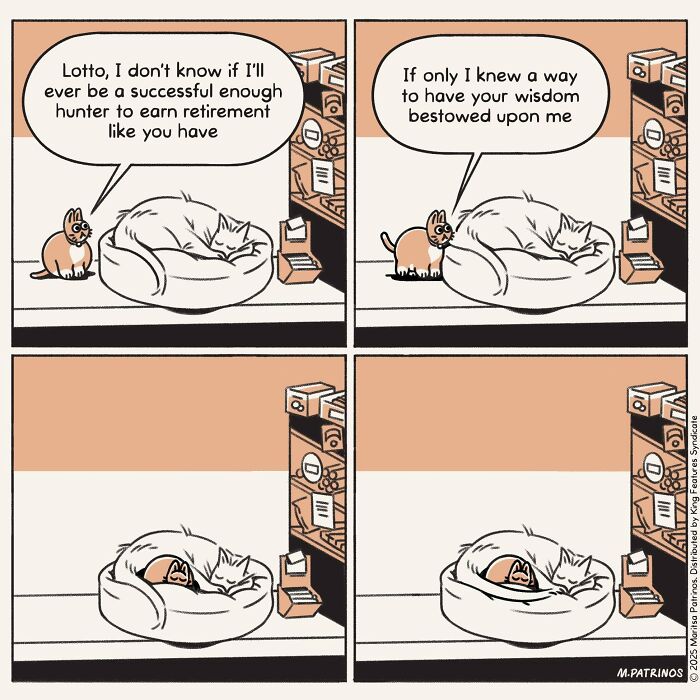 What If Cats Had Jobs? These Comics Totally Nail Their Hilarious Work Lives!