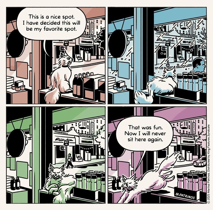What If Cats Had Jobs? These Comics Totally Nail Their Hilarious Work Lives!