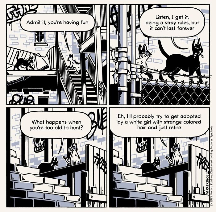 What If Cats Had Jobs? These Comics Totally Nail Their Hilarious Work Lives!
