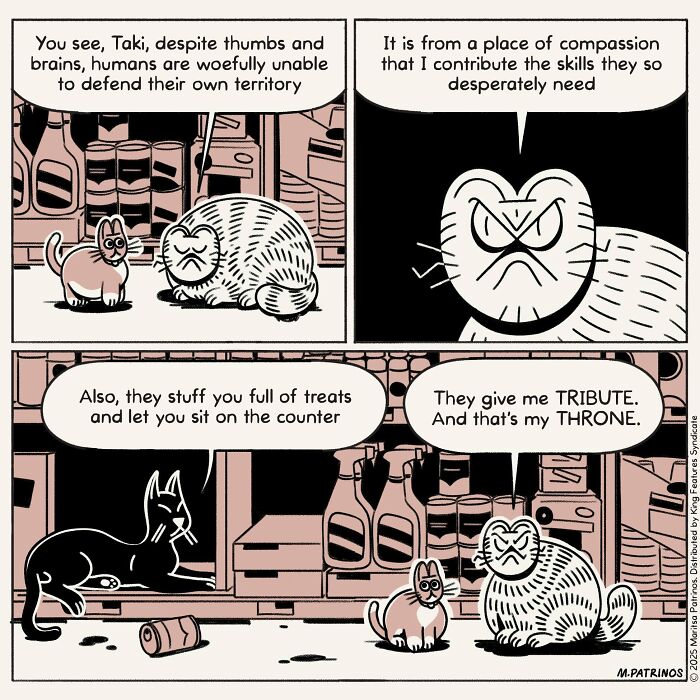 What If Cats Had Jobs? These Comics Totally Nail Their Hilarious Work Lives!