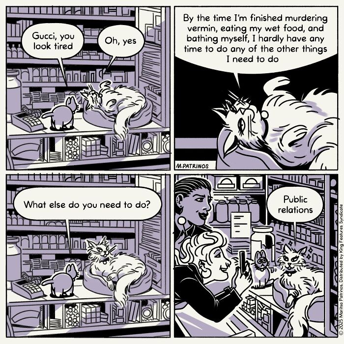 What If Cats Had Jobs? These Comics Totally Nail Their Hilarious Work Lives!