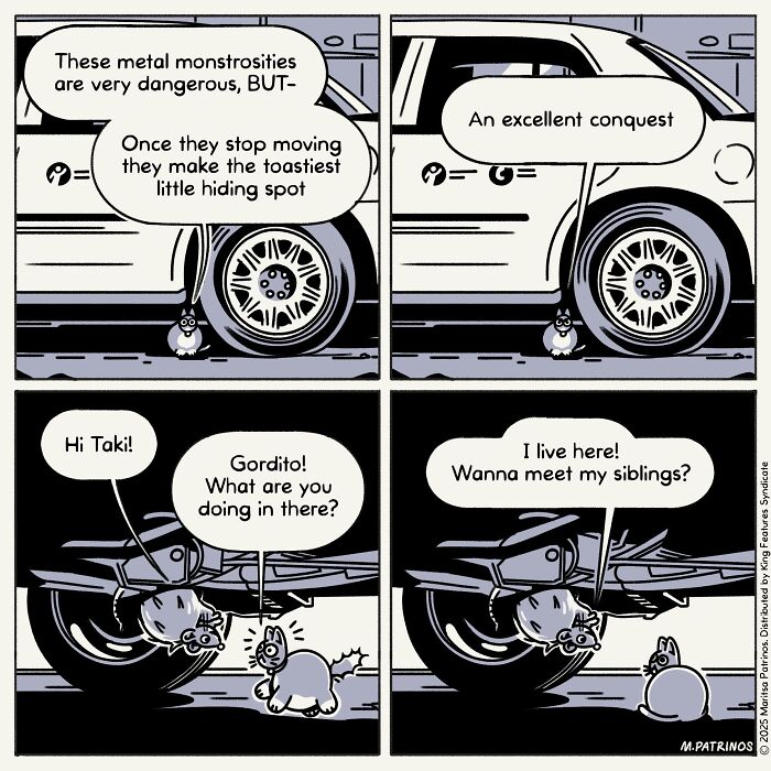 What If Cats Had Jobs? These Comics Totally Nail Their Hilarious Work Lives!