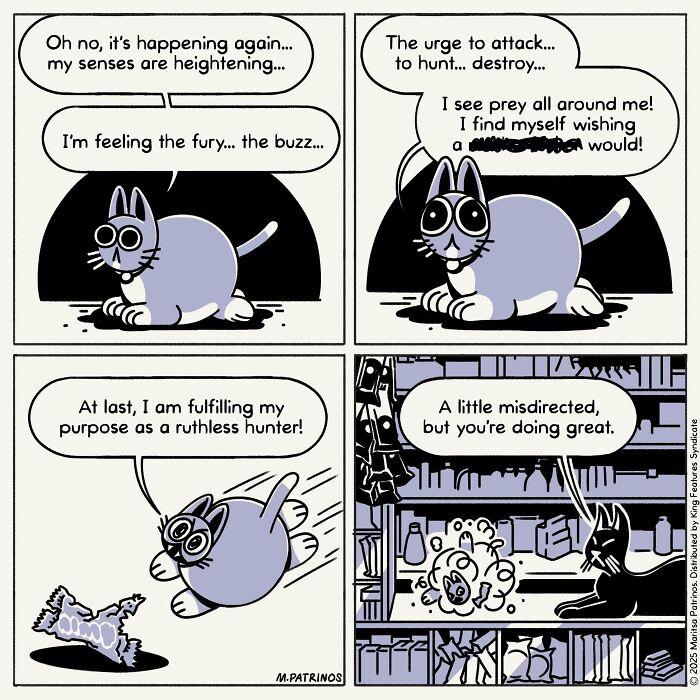 What If Cats Had Jobs? These Comics Totally Nail Their Hilarious Work Lives!