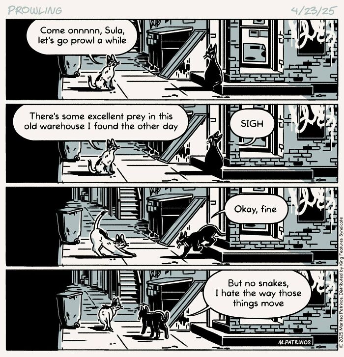 What If Cats Had Jobs? These Comics Totally Nail Their Hilarious Work Lives!