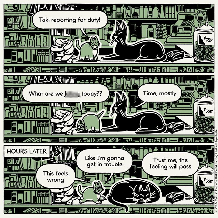 What If Cats Had Jobs? These Comics Totally Nail Their Hilarious Work Lives!