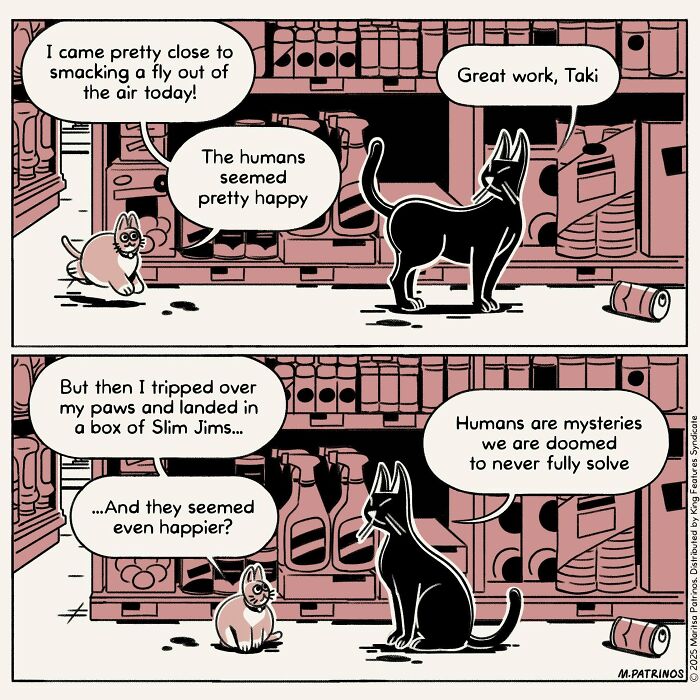What If Cats Had Jobs? These Comics Totally Nail Their Hilarious Work Lives!