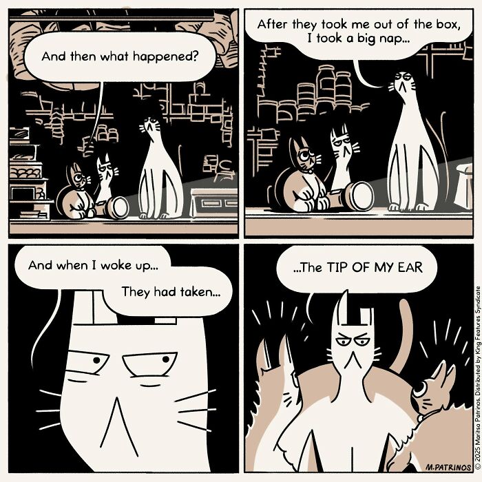 What If Cats Had Jobs? These Comics Totally Nail Their Hilarious Work Lives!