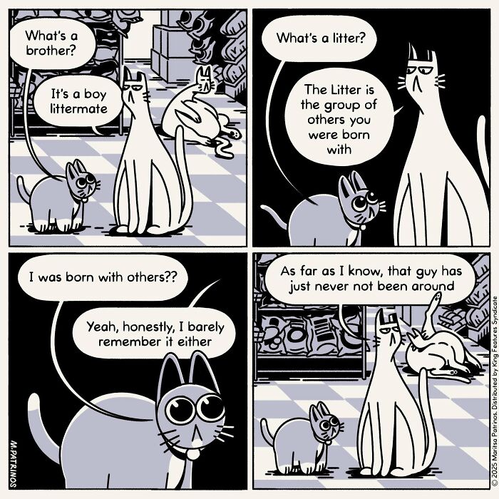 What If Cats Had Jobs? These Comics Totally Nail Their Hilarious Work Lives!
