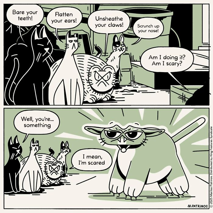 What If Cats Had Jobs? These Comics Totally Nail Their Hilarious Work Lives!