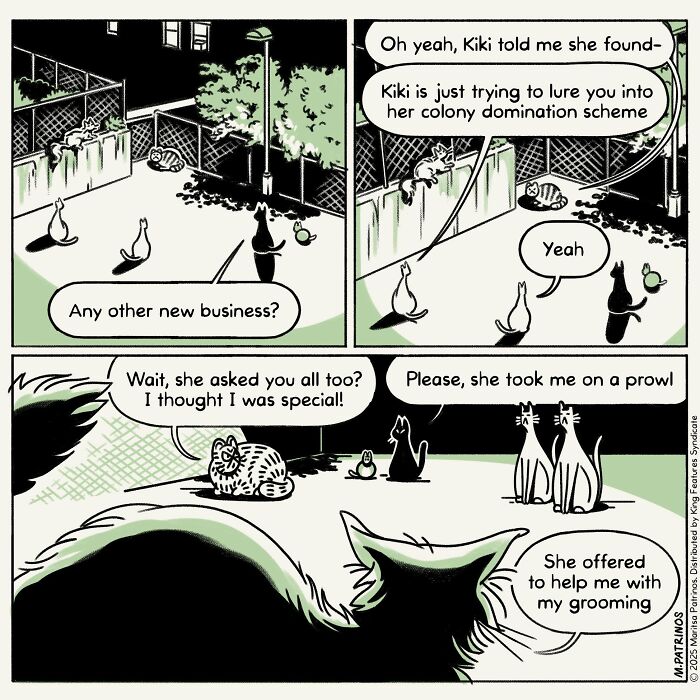 What If Cats Had Jobs? These Comics Totally Nail Their Hilarious Work Lives!