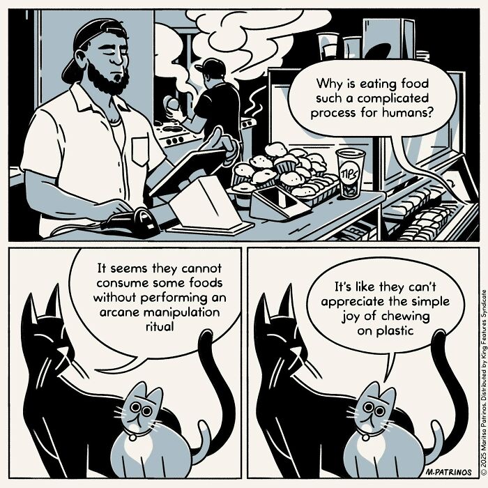 What If Cats Had Jobs? These Comics Totally Nail Their Hilarious Work Lives!
