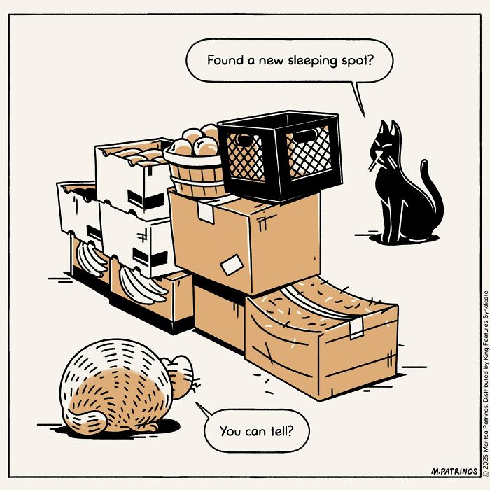 What If Cats Had Jobs? These Comics Totally Nail Their Hilarious Work Lives!