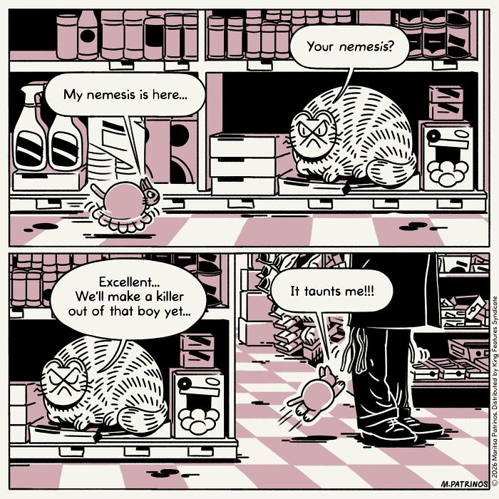 What If Cats Had Jobs? These Comics Totally Nail Their Hilarious Work Lives!