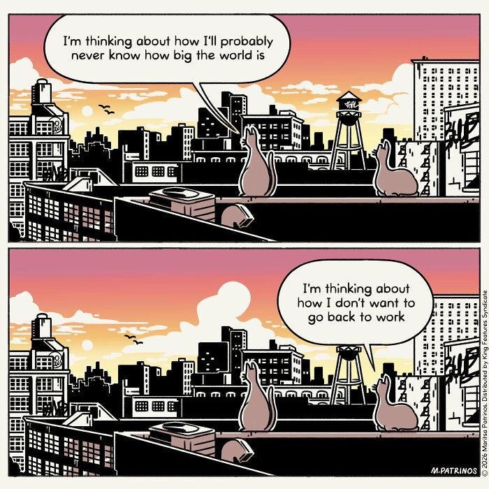 What If Cats Had Jobs? These Comics Totally Nail Their Hilarious Work Lives!