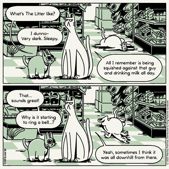 What If Cats Had Jobs? These Comics Totally Nail Their Hilarious Work Lives!