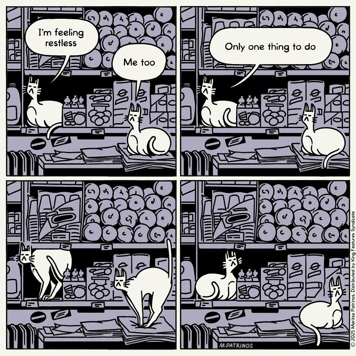 What If Cats Had Jobs? These Comics Totally Nail Their Hilarious Work Lives!