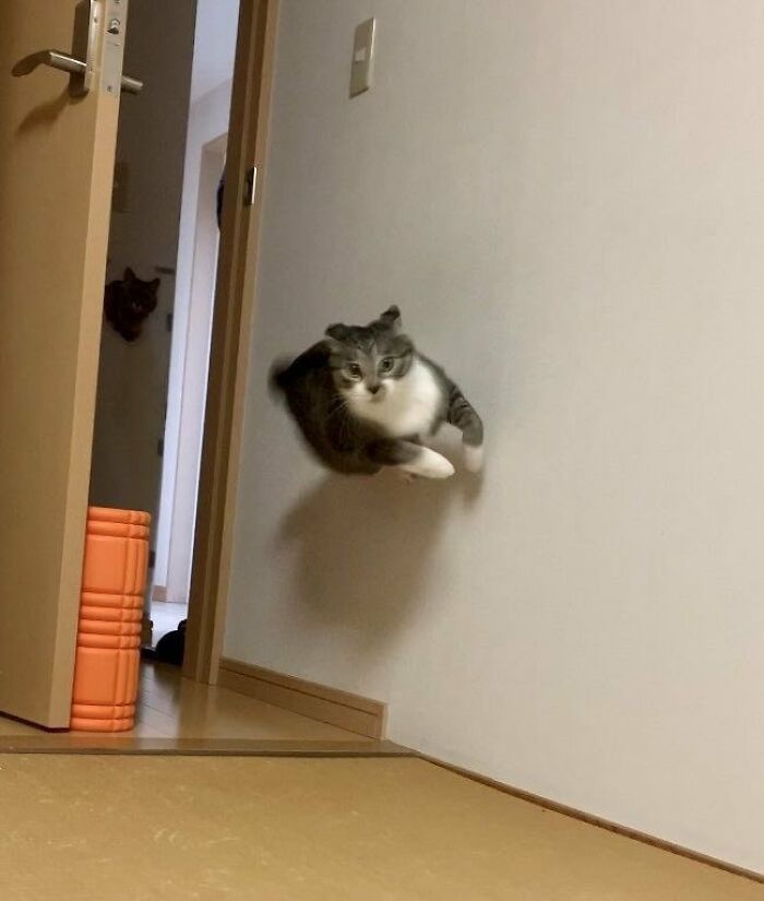 83 Wildly Weird Animal Pics That Will Totally Make Your Day