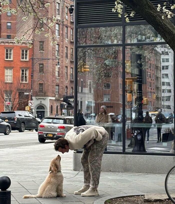 83 Wildly Weird Animal Pics That Will Totally Make Your Day