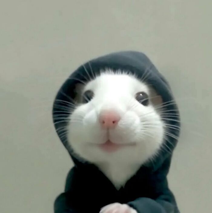 83 Wildly Weird Animal Pics That Will Totally Make Your Day