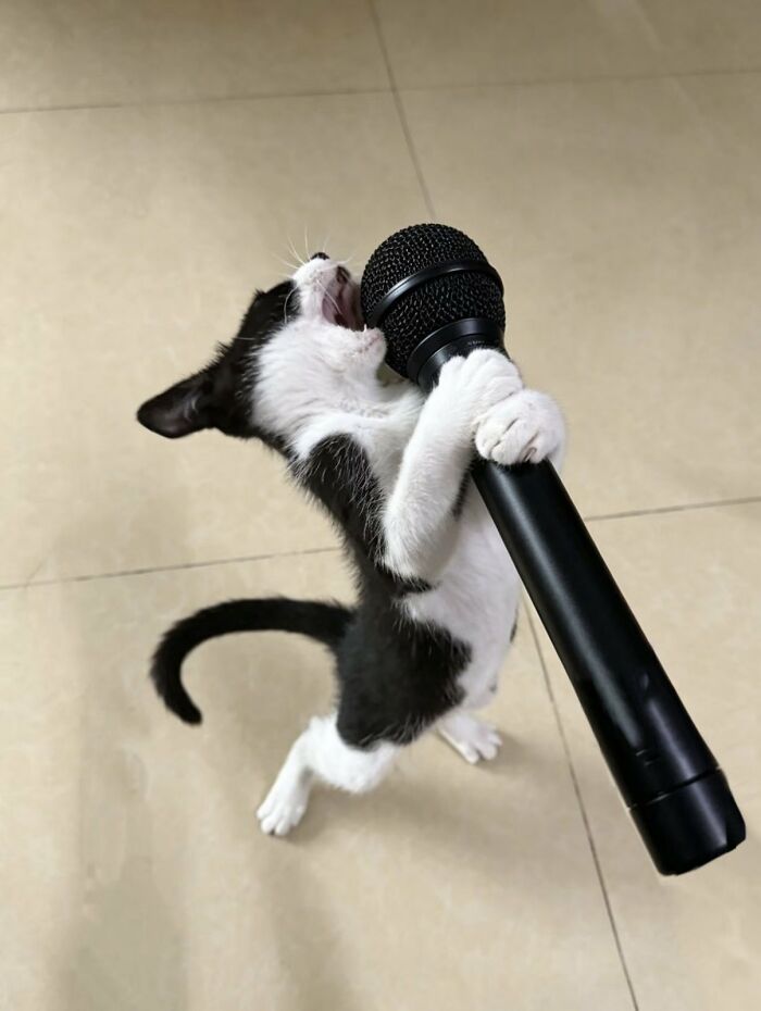 83 Wildly Weird Animal Pics That Will Totally Make Your Day