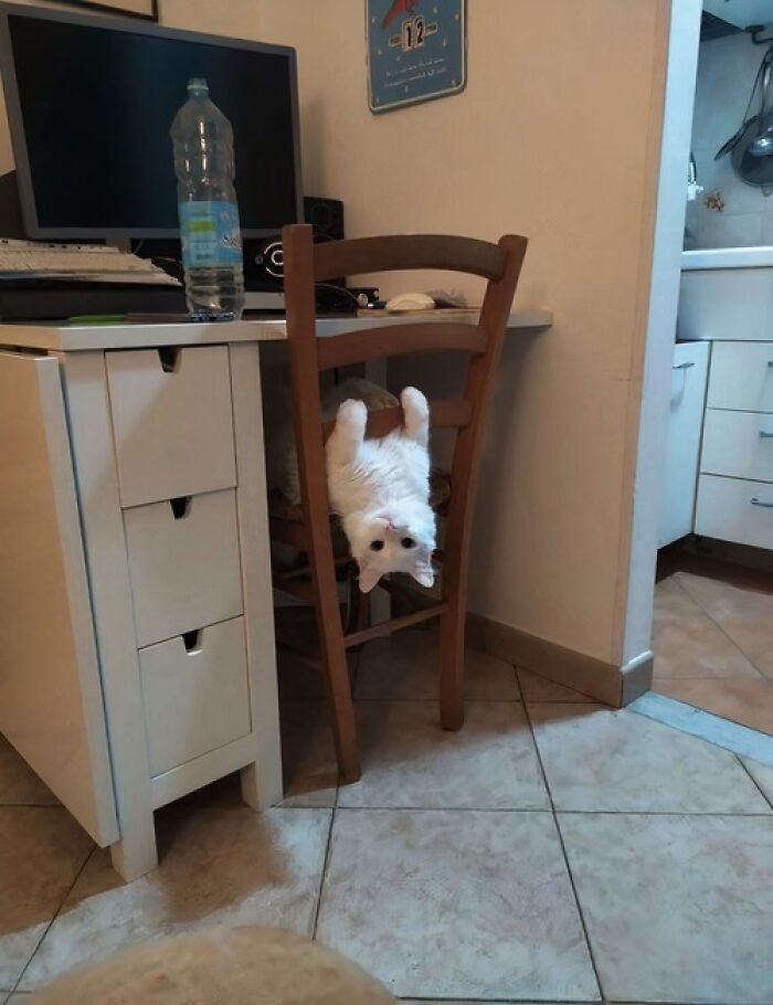 83 Wildly Weird Animal Pics That Will Totally Make Your Day
