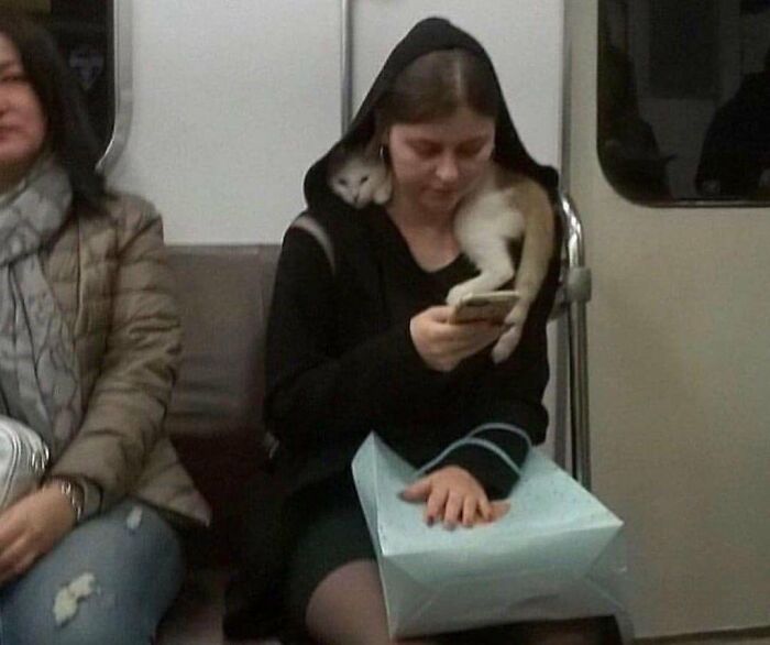 83 Wildly Weird Animal Pics That Will Totally Make Your Day