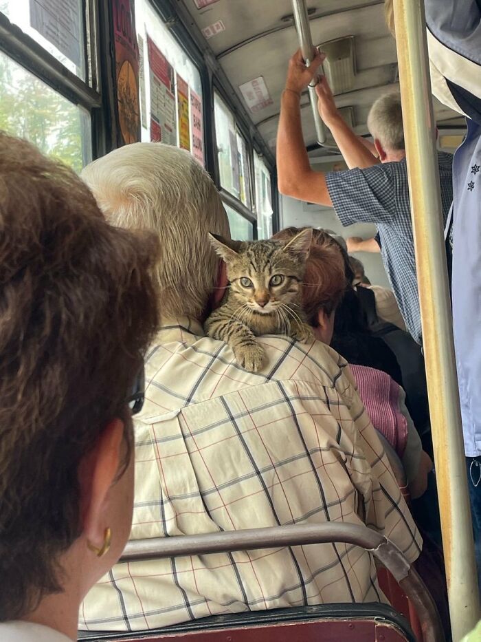 83 Wildly Weird Animal Pics That Will Totally Make Your Day