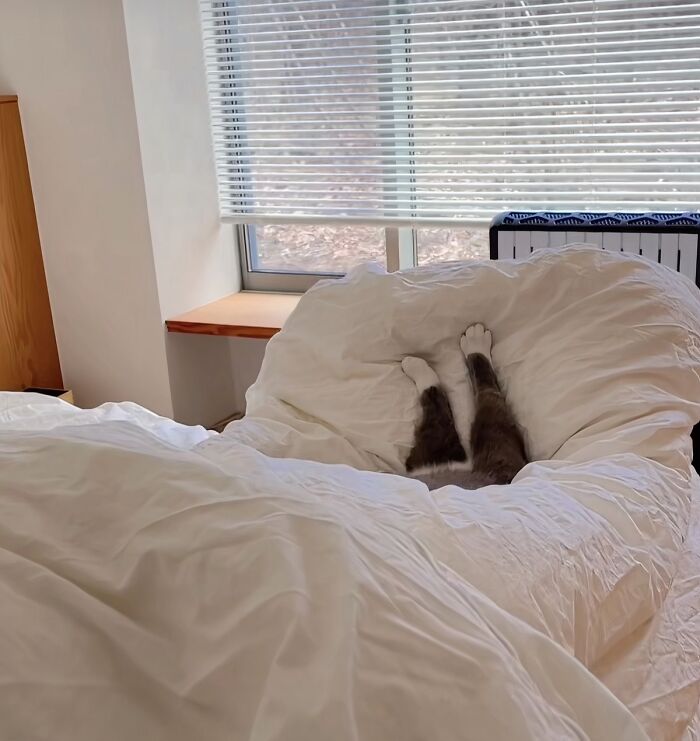 83 Wildly Weird Animal Pics That Will Totally Make Your Day
