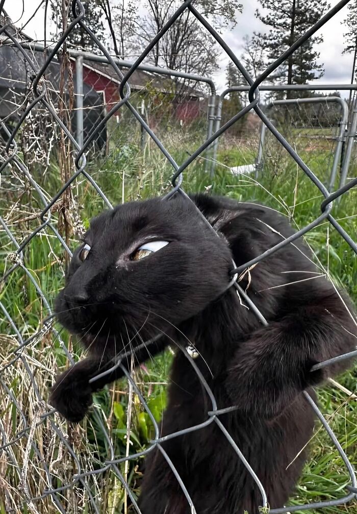 83 Wildly Weird Animal Pics That Will Totally Make Your Day