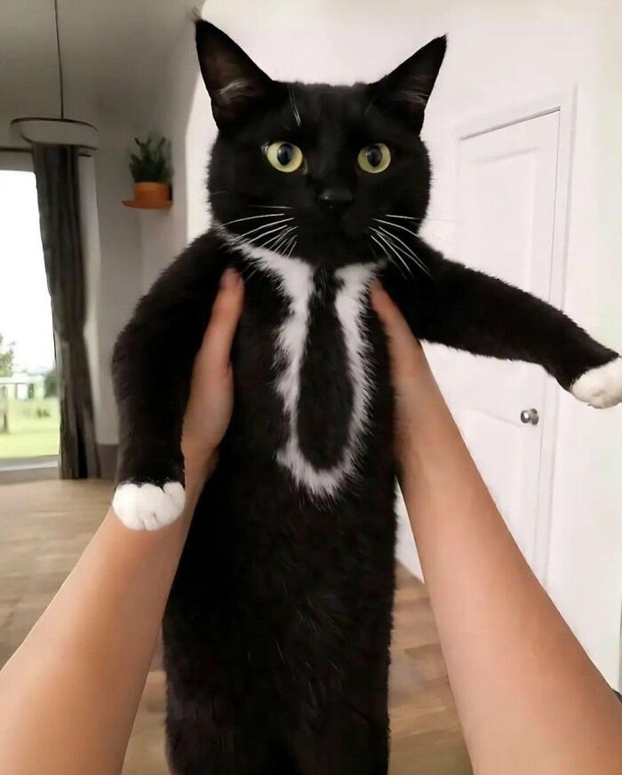 83 Wildly Weird Animal Pics That Will Totally Make Your Day