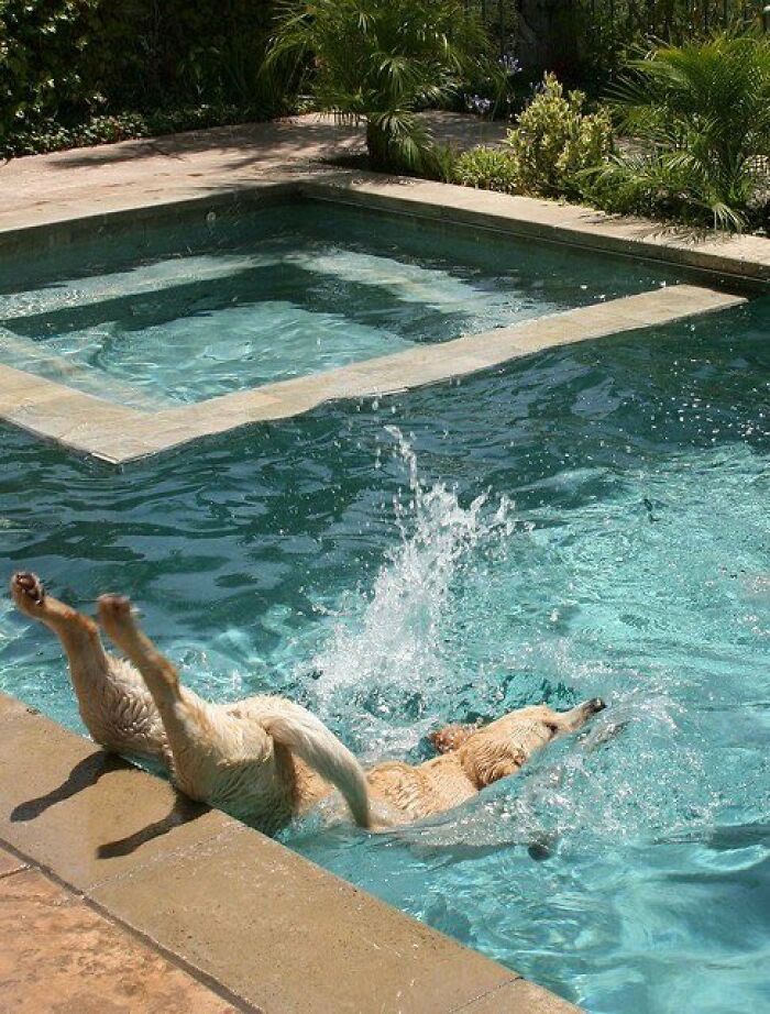 83 Wildly Weird Animal Pics That Will Totally Make Your Day