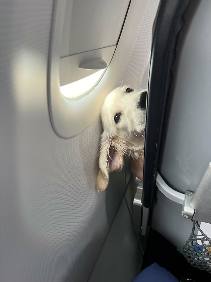 83 Wildly Weird Animal Pics That Will Totally Make Your Day
